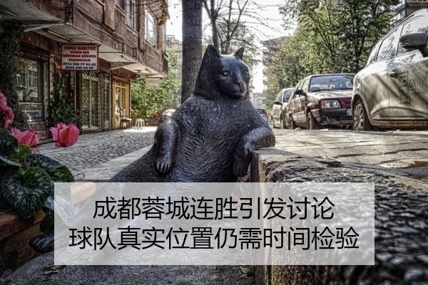 成都蓉城连胜引发讨论 球队真实位置仍需时间检验