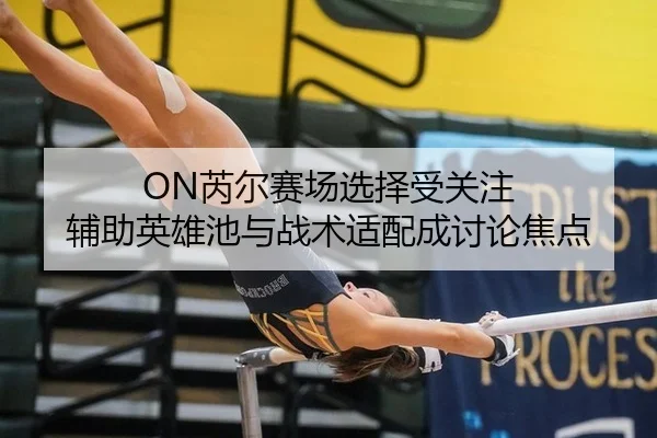 ON芮尔赛场选择受关注 辅助英雄池与战术适配成讨论焦点